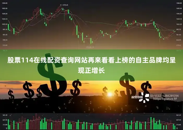 股票114在线配资查询网站再来看看上榜的自主品牌均呈现正增长