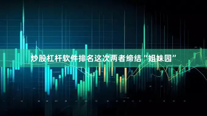 炒股杠杆软件排名这次两者缔结“姐妹园”